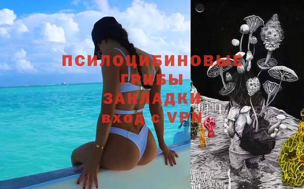 гашик Алзамай