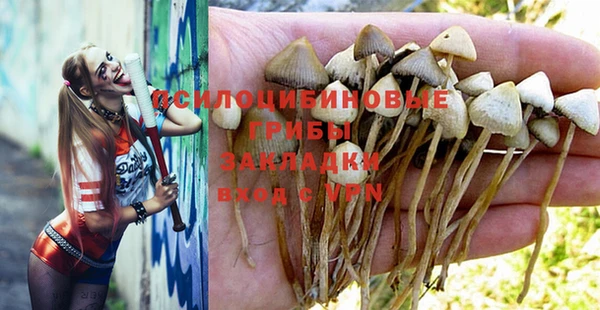 гашик Алзамай